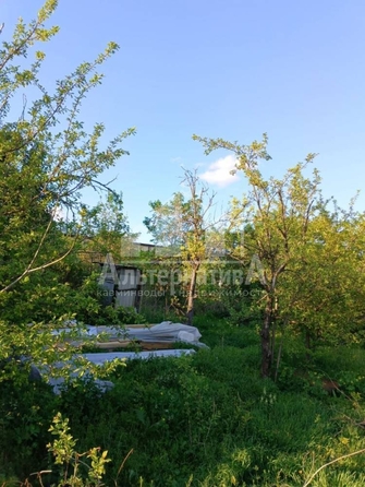 
  Продается дом, 52 м², Ессентуки
. Фото 14.