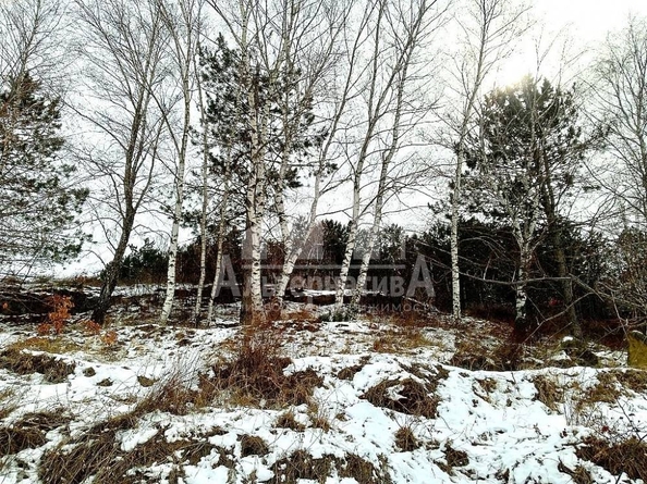 
  Продается дом 200 м². Фото 11.