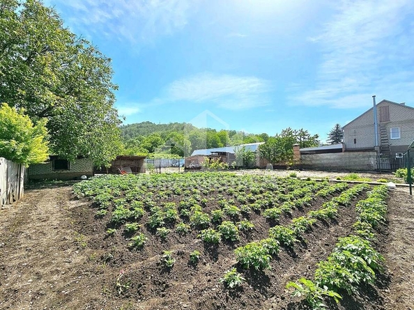 
  Продается земельный участок 10 соток. Фото 2.