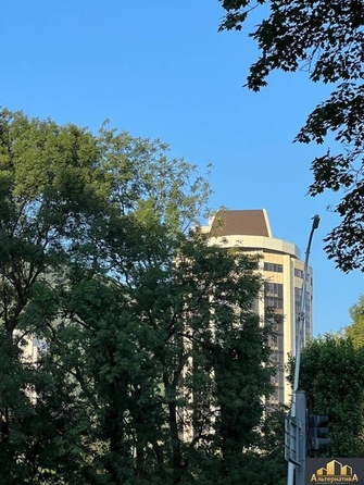 
  Продается универсальное помещение, 210 м², Пастухова ул
. Фото 4.