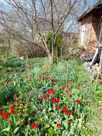 
  Продается коттедж, 16 м², поселок Мирный
. Фото 2.