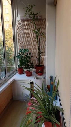 
  Продается 2-комн. квартира 42.5 м². Фото 12.