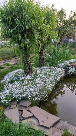
  Продается дом 85 м². Фото 21.