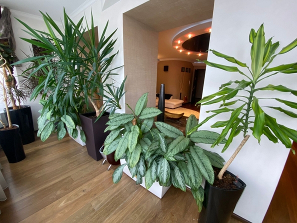 
  Продается 4-комн. квартира 240 м². Фото 23.