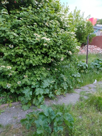 
  Продается дом 74 м². Фото 6.