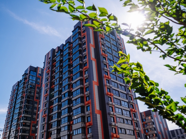 
  Продается студия 23.55 м², в ЖК Западные Аллеи, литера 6.3. Фото 4.