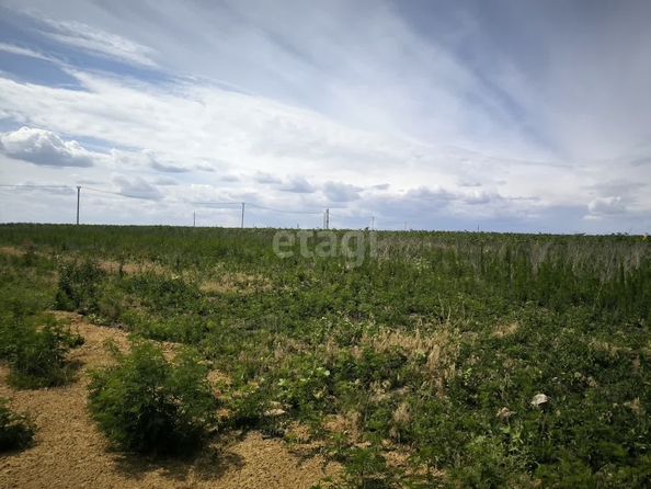 
  Продам  участок ИЖС, 4 соток, Большие Салы

. Фото 6.