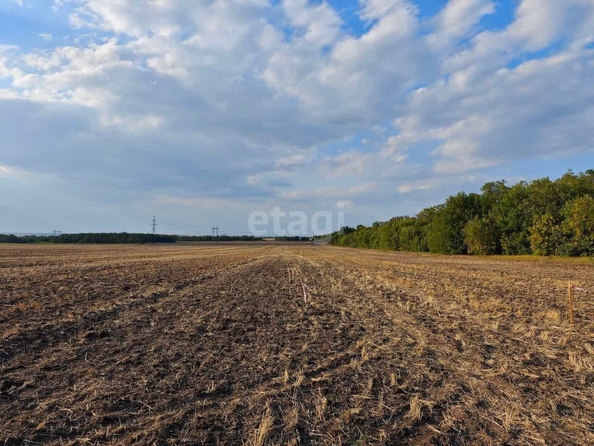 
  Продам  участок ИЖС, 4 соток, Красный

. Фото 6.