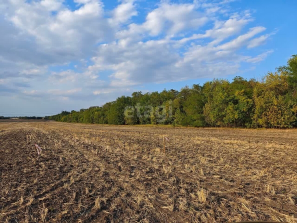 
  Продам  участок ИЖС, 6 соток, Красный

. Фото 4.