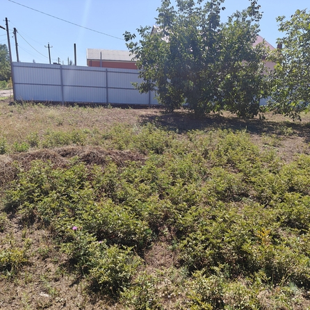 
  Продам  коммерческую землю, 20 соток, Красный Крым

. Фото 1.