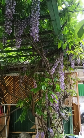 
  Продается коттедж, 165 м², Ростов-на-Дону
. Фото 14.