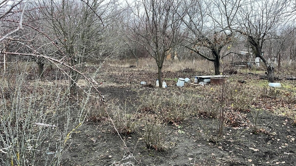 
  Продам  дачный участок, 6 соток, Ковалевка

. Фото 5.