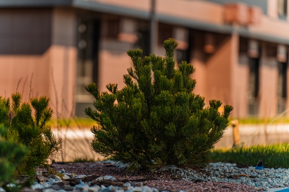 
  Продается 3-комн. квартира 79.7 м², в ЖК Флора, литера 1.1. Фото 27.