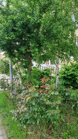 
  Сдам в аренду апартаменты, 27 м², Ростов-на-Дону

. Фото 27.