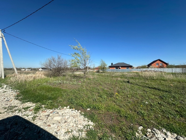 
  Продам  дачный участок, 8 соток, Кулешовка

. Фото 6.