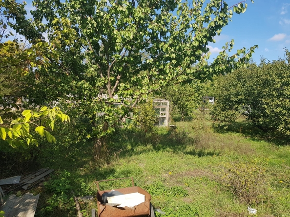 
  Продается дом, 51 м², станица Ольгинская
. Фото 6.