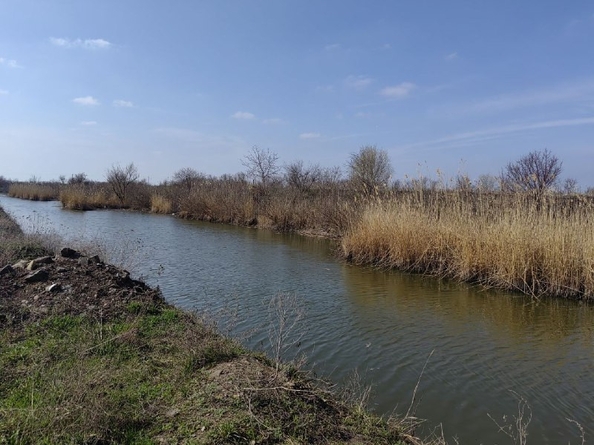 
  Продается земельный участок, 6 соток, хутор Городище
. Фото 1.
