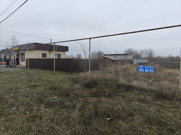 
  Продается земельный участок, 50 соток, село Головатовка
. Фото 2.