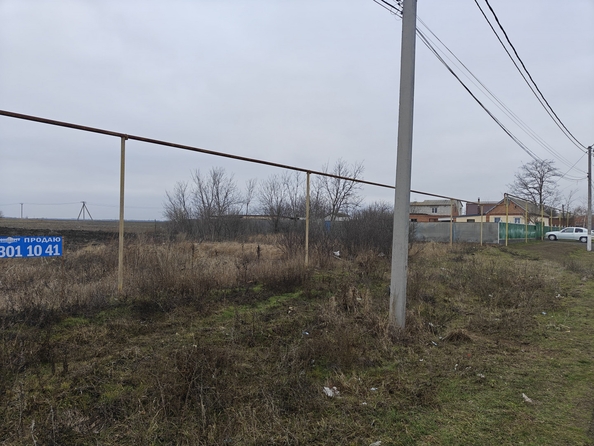
  Продается земельный участок, 50 соток, село Головатовка
. Фото 4.