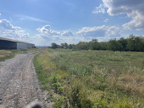 
  Продается земельный участок, 35 соток, поселок Новоперсиановка
. Фото 7.
