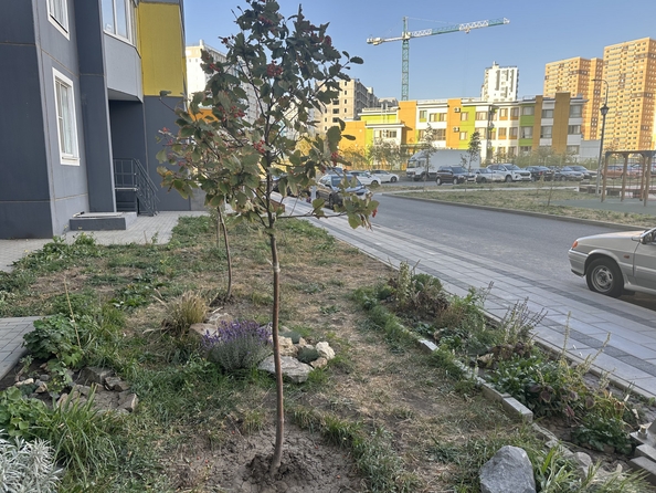 
  Продается 1-комн. квартира, 38 м², Ткачева ул, д. 42
. Фото 10.