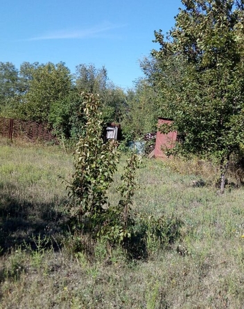 
  Продается дом, 38 м², село Орловка
. Фото 4.