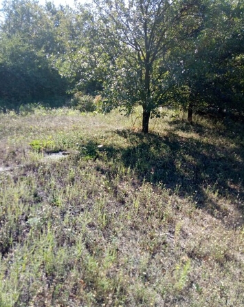 
  Продается дом, 38 м², село Орловка
. Фото 6.