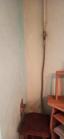 
  Продается 1-комн. квартира, 18.1 м², Богатяновский Спуск пр-кт, д. 30/47
. Фото 17.