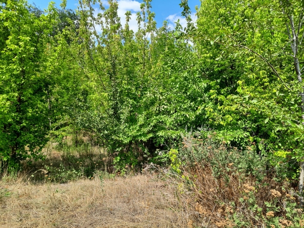 
  Продается земельный участок, 20 соток, поселок Октябрьский
. Фото 9.