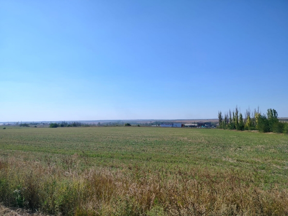 
  Продается земельный участок, 900 соток, хутор Пушкин
. Фото 11.