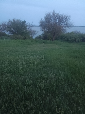 
  Продается земельный участок, 21.79 сотка, хутор Калиновка
. Фото 5.