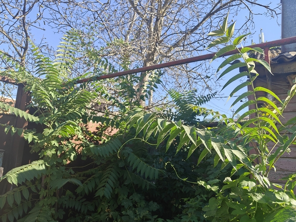 
  Продается земельный участок, 3.6 сотки, Ростов-на-Дону
. Фото 5.