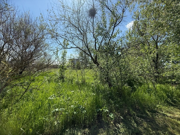 
  Продается земельный участок, 7.5 соток, хутор Рогожкино
. Фото 6.