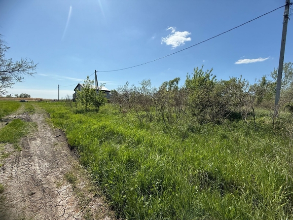 
  Продается земельный участок, 7.5 соток, хутор Рогожкино
. Фото 10.