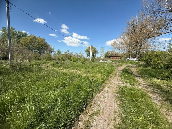 
  Продается земельный участок, 7.5 соток, хутор Рогожкино
. Фото 13.