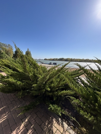 
  Продается дом, 385 м², станица Старочеркасская
. Фото 14.