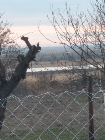 
  Продается земельный участок, 9 соток, хутор Хапры
. Фото 5.