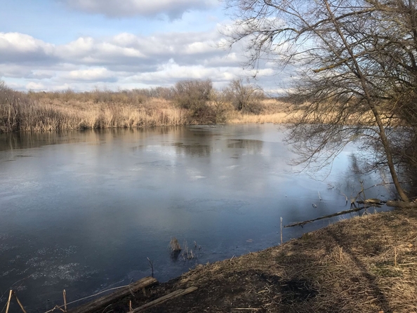 
  Продается земельный участок, 170 соток, поселок Водопадный
. Фото 2.