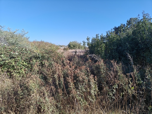 
  Продается земельный участок, 6 соток, поселок Темерницкий
. Фото 4.