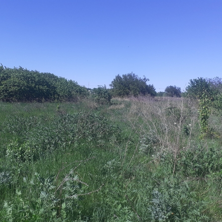 
  Продается земельный участок, 12 соток, хутор Мержаново
. Фото 4.