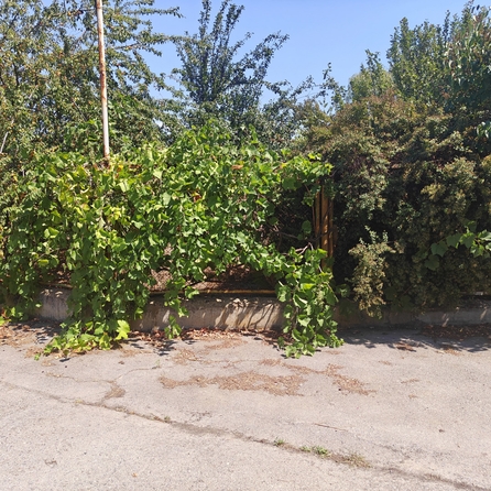 
  Продается земельный участок, 5.5 соток, хутор Шмат
. Фото 8.