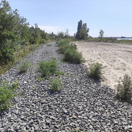 
  Продается земельный участок, 12 соток, хутор Усть-Койсуг
. Фото 5.