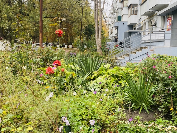 
  Продается 3-комн. квартира, 59 м², Гагринская ул, д. 9/2
. Фото 1.