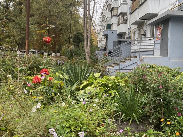 
  Продается 3-комн. квартира, 59 м², Гагринская ул, д. 9/2
. Фото 25.