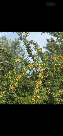 
  Продается дом, 140 м², хутор Коса
. Фото 23.