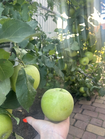 
  Продается дом, 135 м², Ростов-на-Дону
. Фото 12.