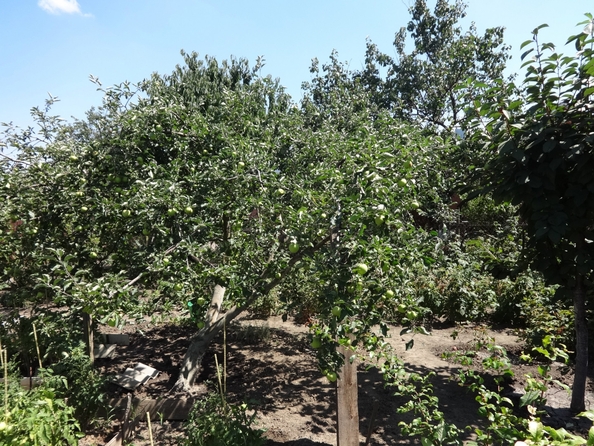 
  Продается дом, 116.3 м², Ростов-на-Дону
. Фото 29.