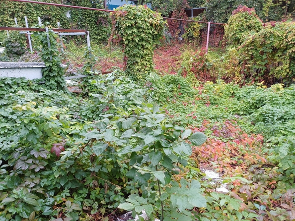 
  Продается дом, 52 м², Ростов-на-Дону
. Фото 3.