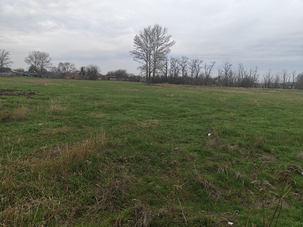 
  Продается земельный участок, 38.93 соток, хутор Кут
. Фото 2.