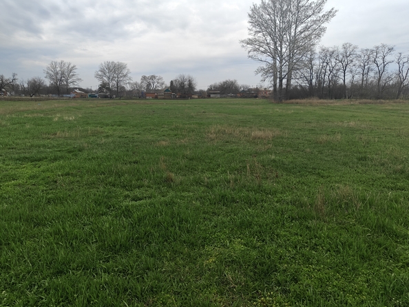 
  Продается земельный участок, 38.93 соток, хутор Кут
. Фото 3.